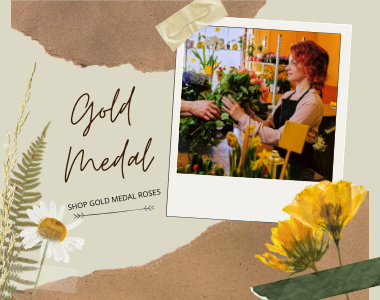 Golden Valley Rose Distributors LLC