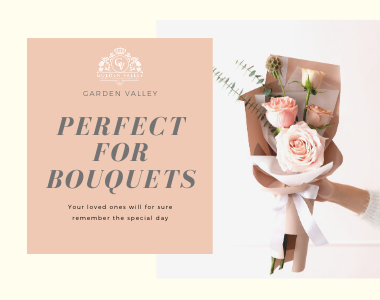 Golden Valley Rose Distributors LLC