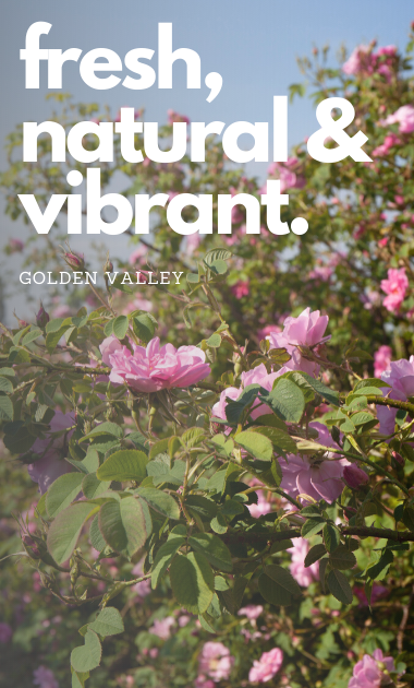 Golden Valley Rose Distributors LLC